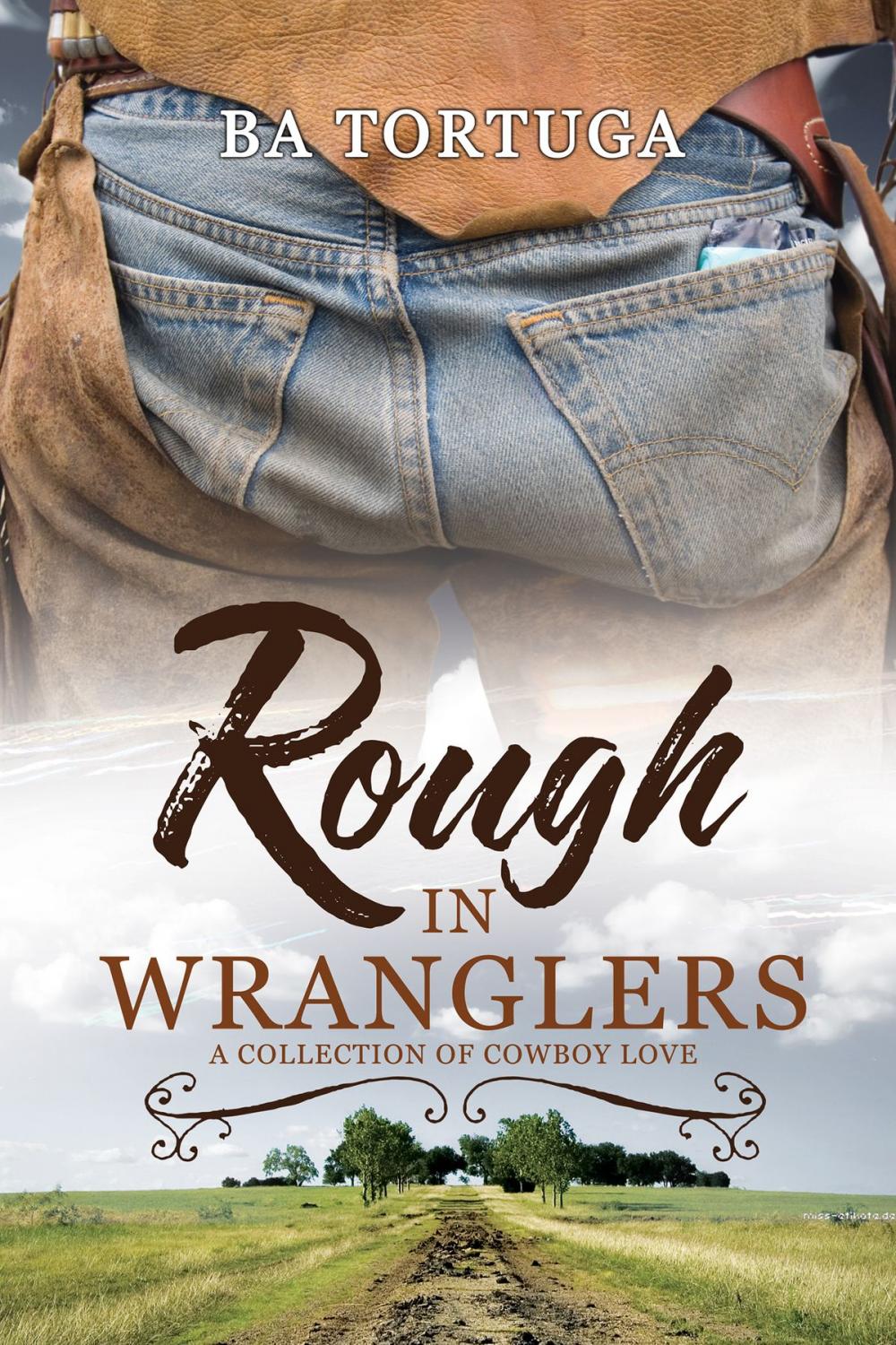 Big bigCover of Rough in Wranglers