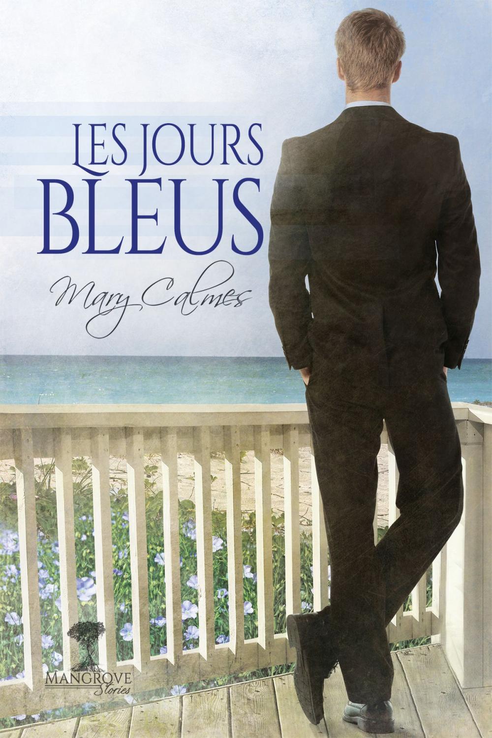 Big bigCover of Les jours bleus