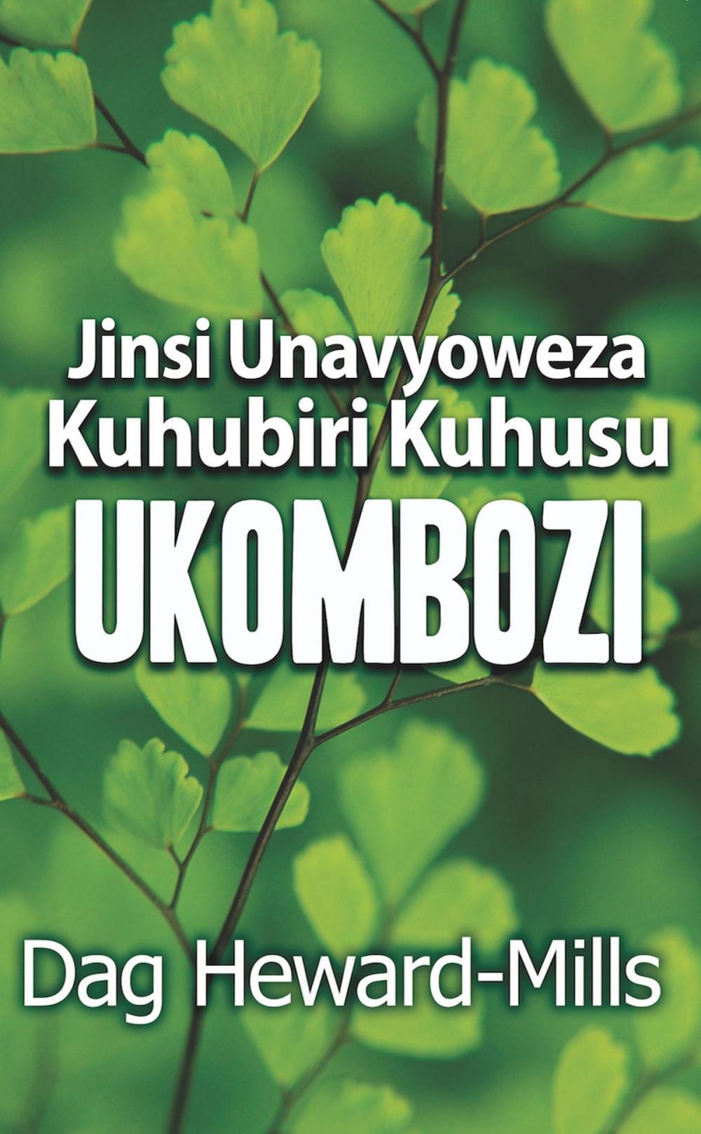 Big bigCover of Jinsi Unavyoweza Kuhubiri Kuhusu Wokovu