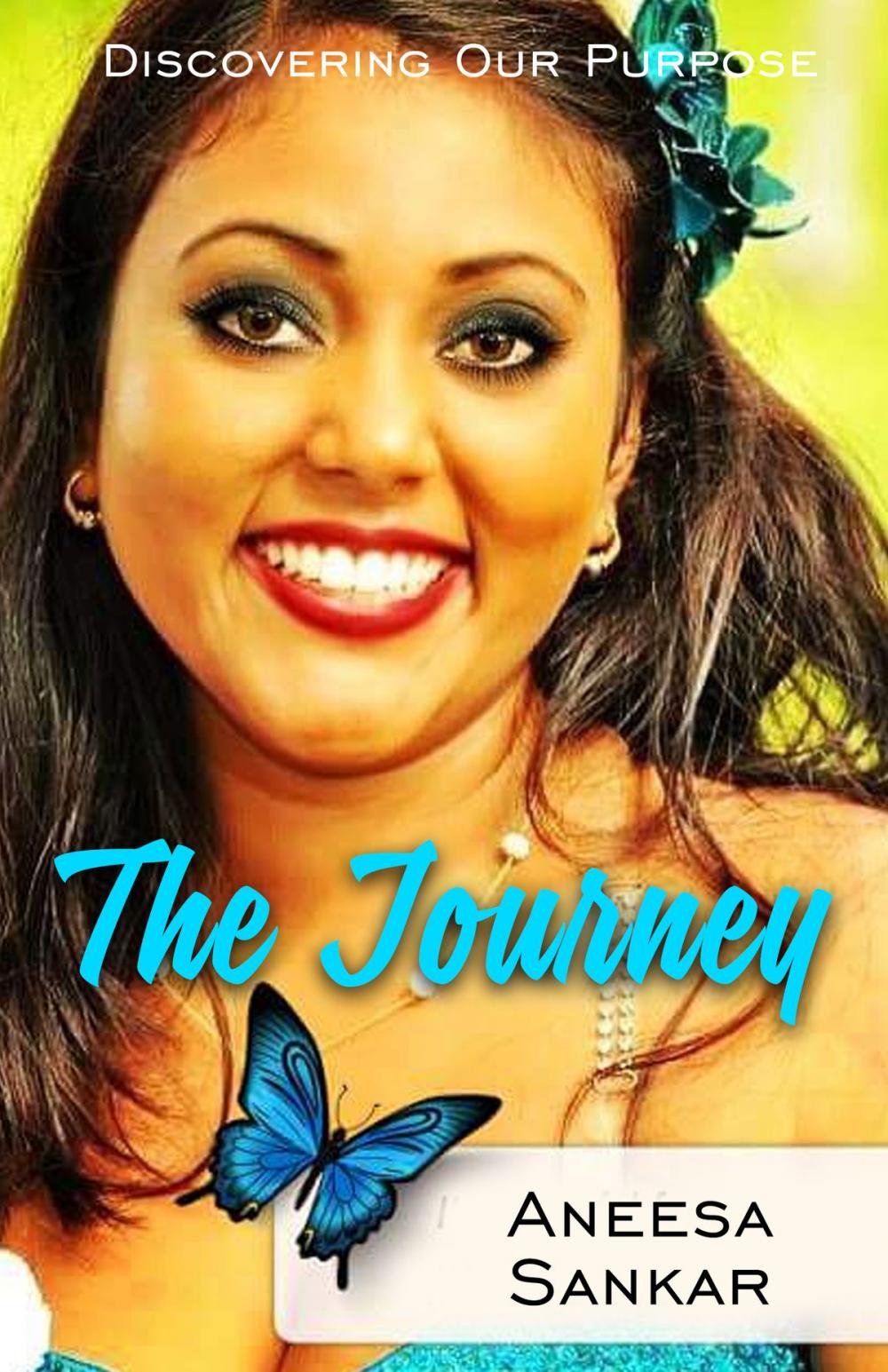 Big bigCover of The Journey