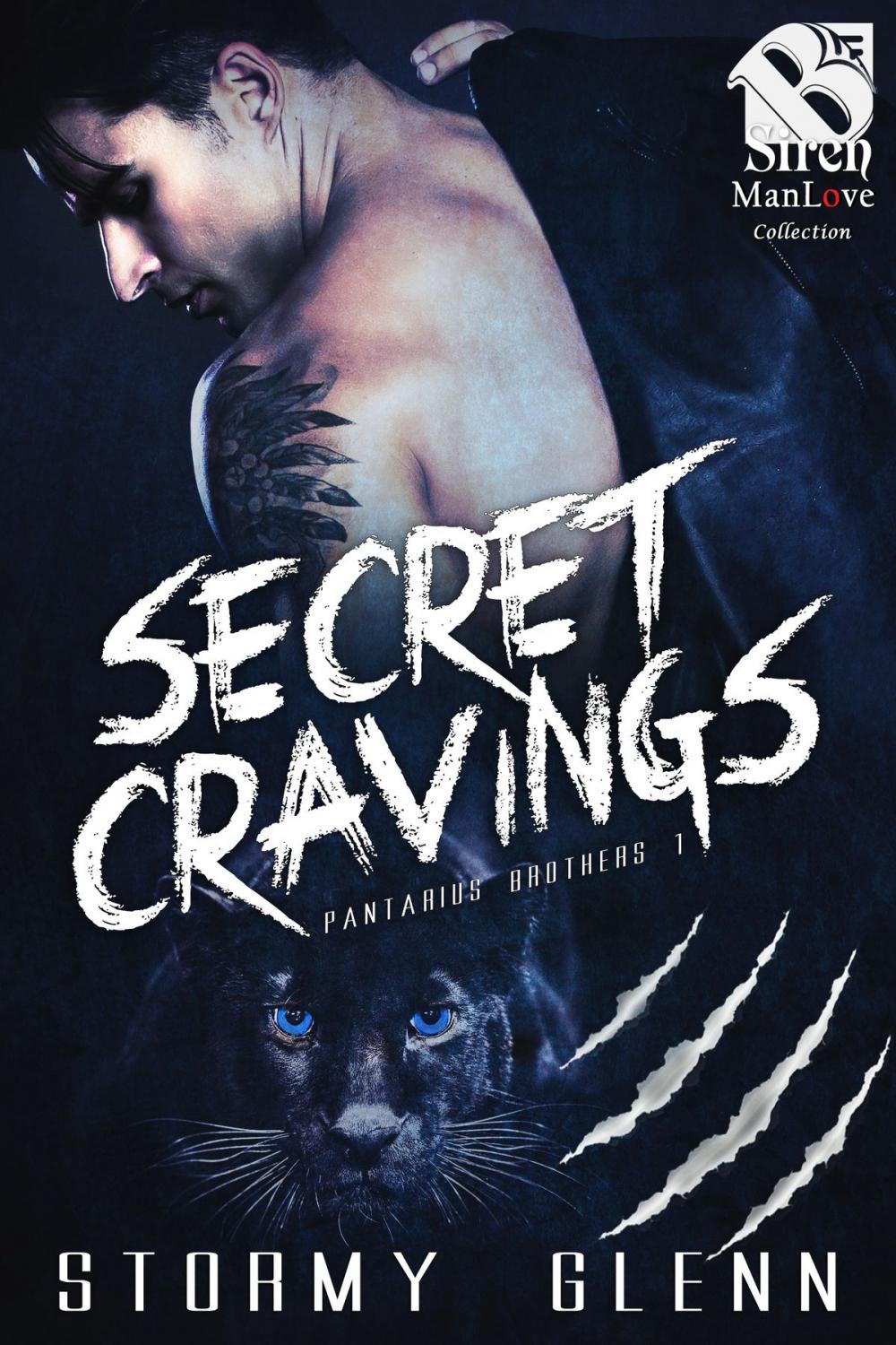 Big bigCover of Secret Cravings