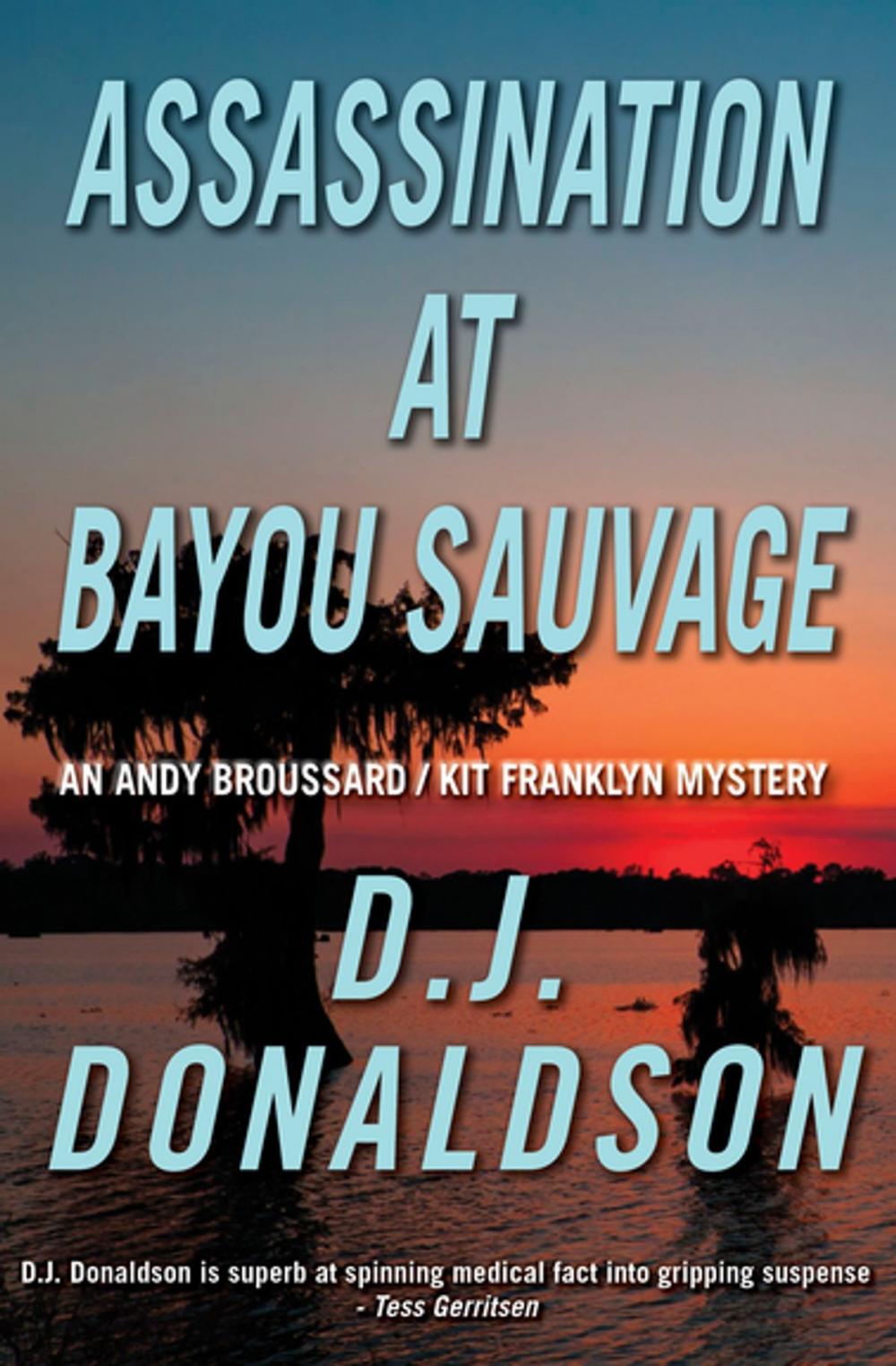 Big bigCover of Assassination at Bayou Sauvage