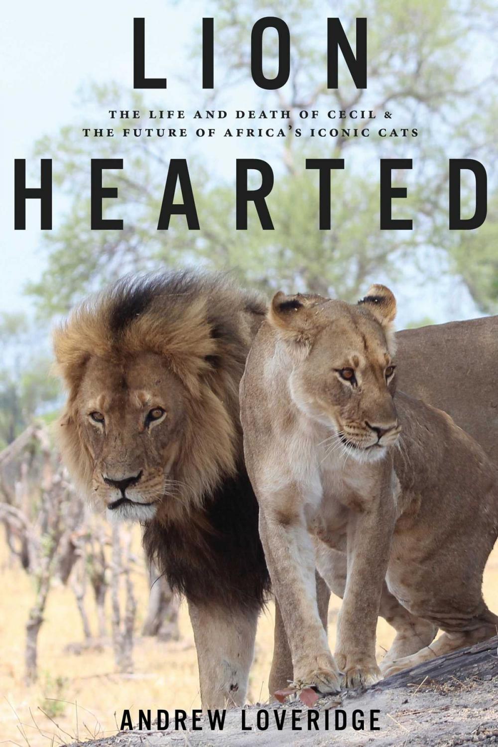 Big bigCover of Lion Hearted