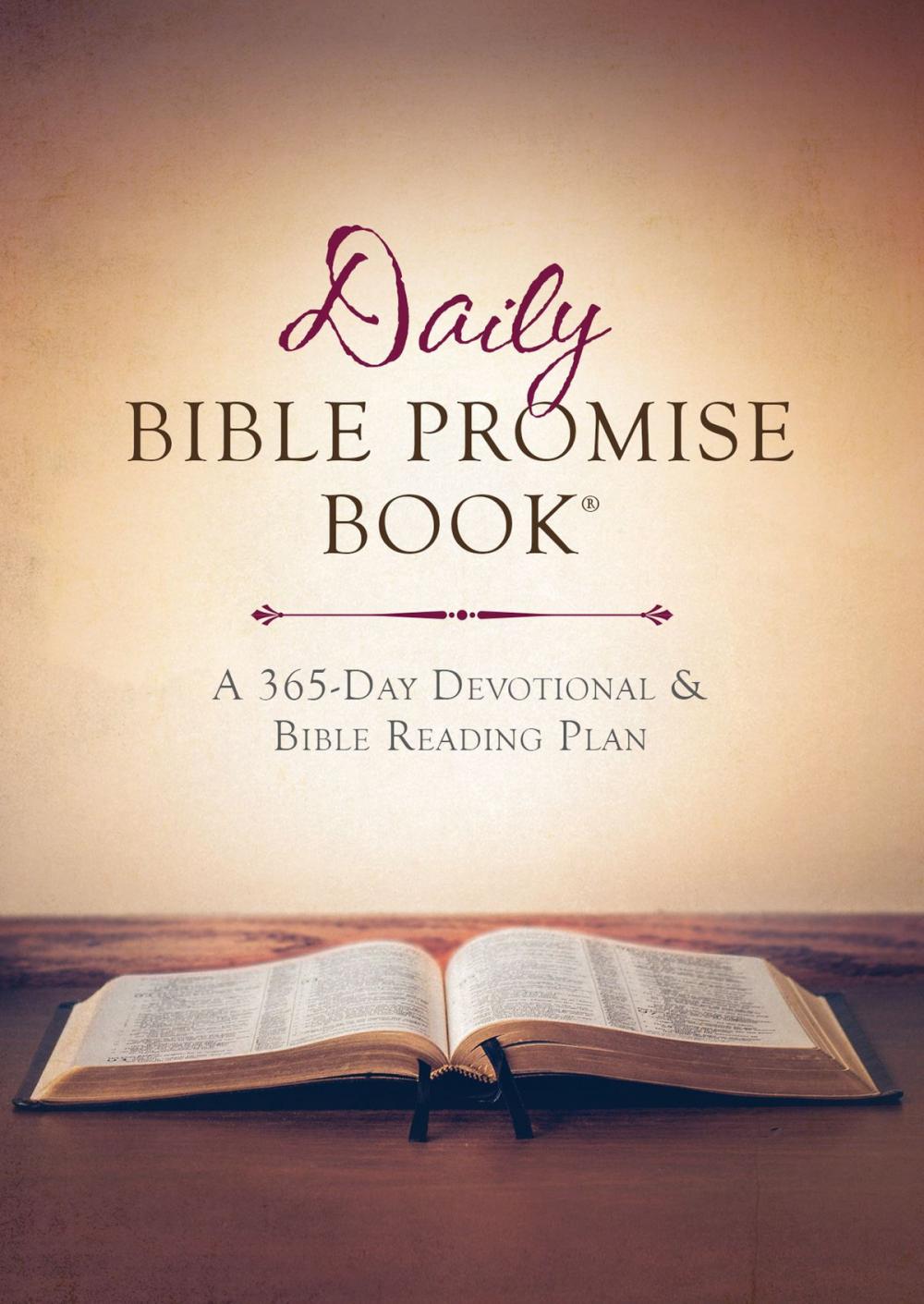 Big bigCover of The Daily Bible Promise Book®