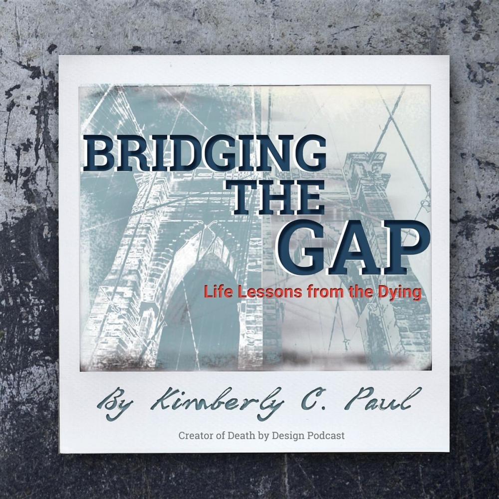 Big bigCover of Bridging The Gap