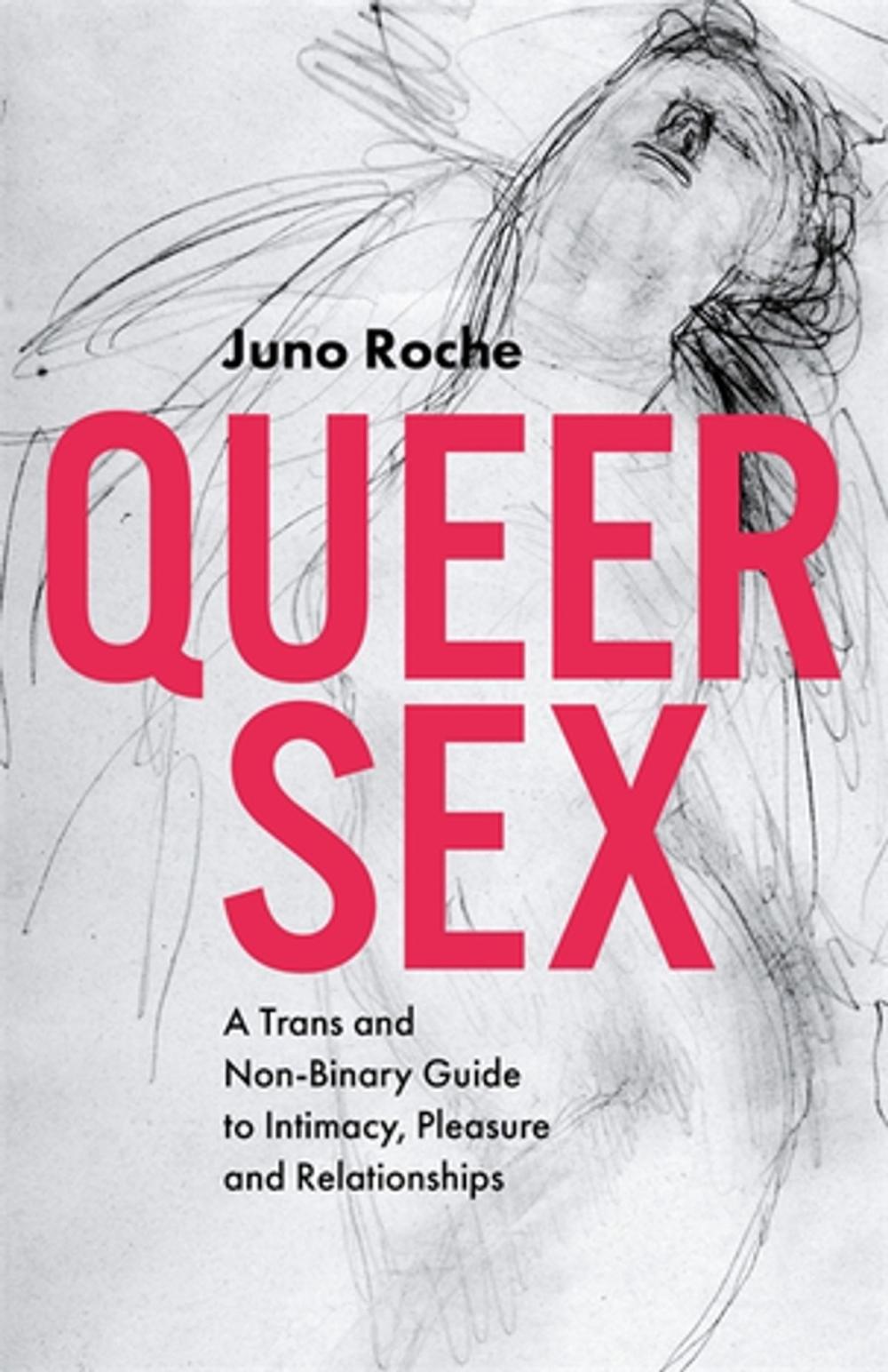 Big bigCover of Queer Sex