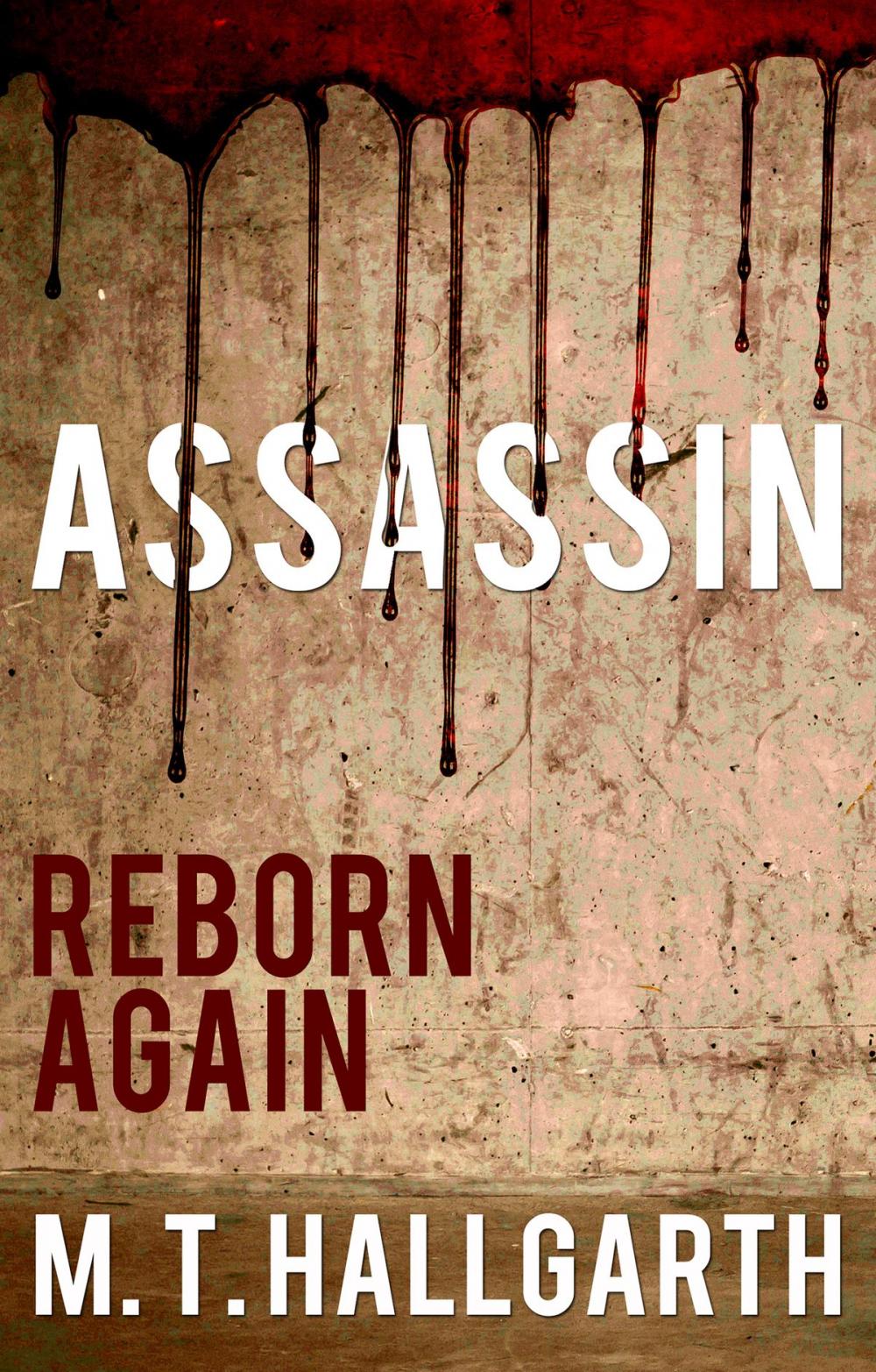 Big bigCover of Assassin