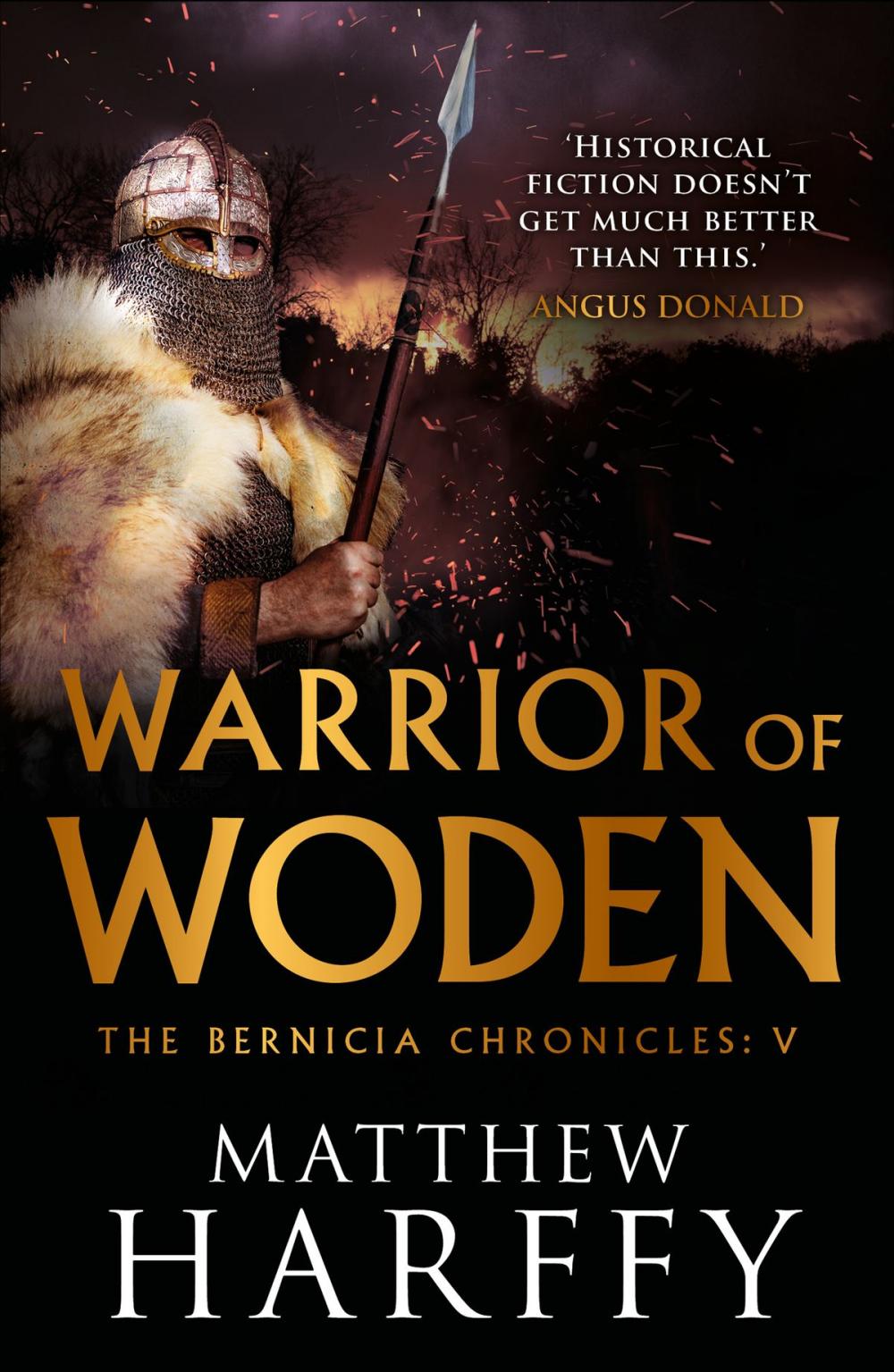 Big bigCover of Warrior of Woden