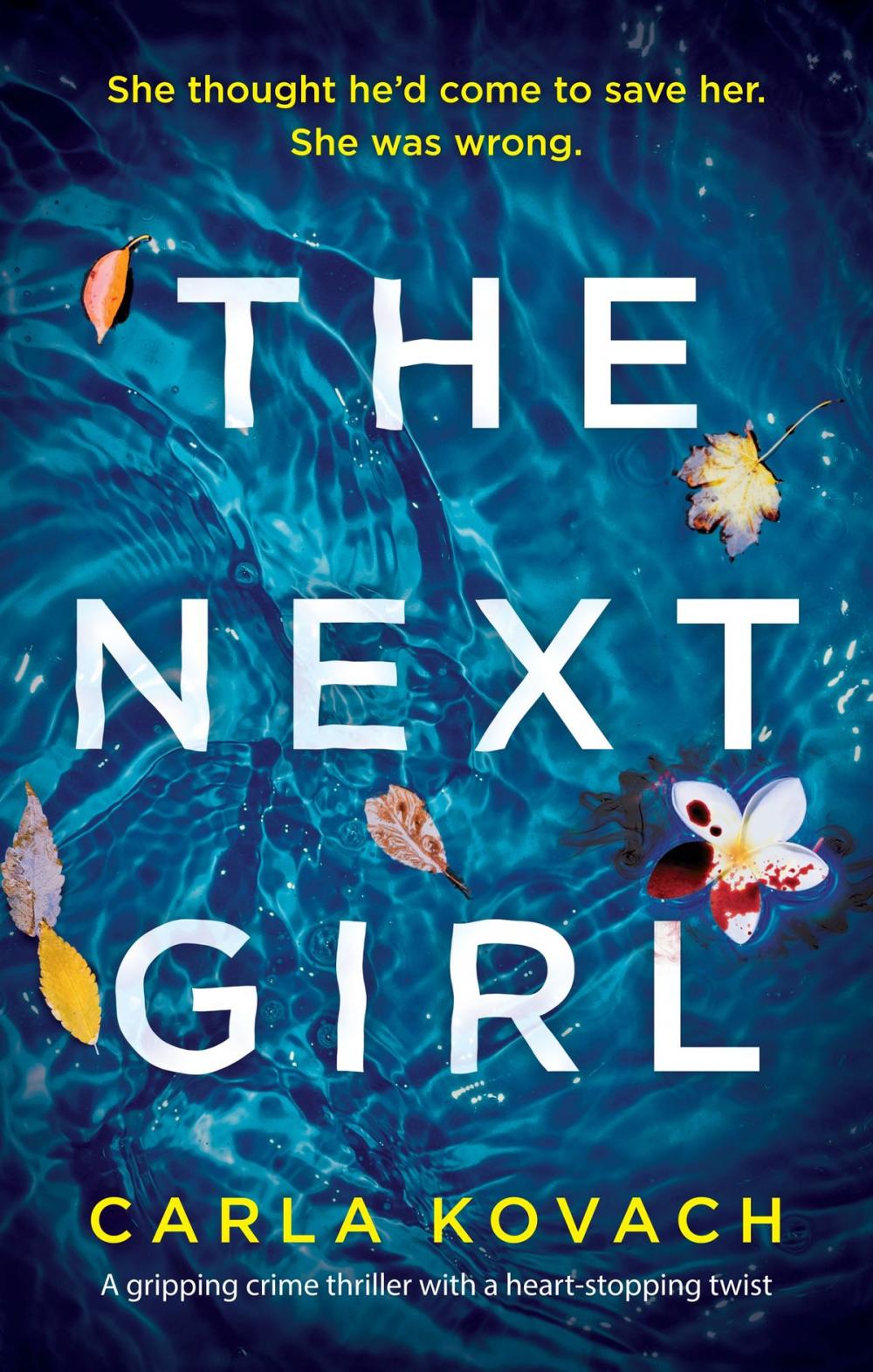 Big bigCover of The Next Girl