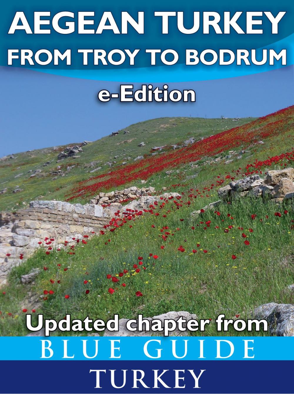 Big bigCover of Blue Guide Aegean Turkey: From Troy to Bodrum