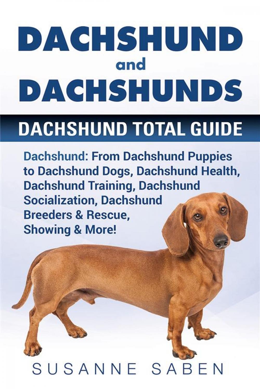 Big bigCover of Dachshund and Dachshunds