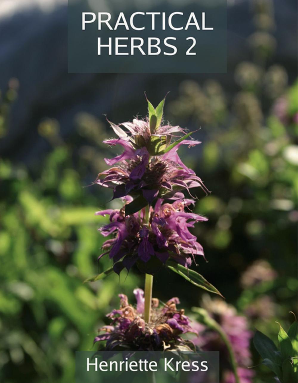 Big bigCover of Practical Herbs 2