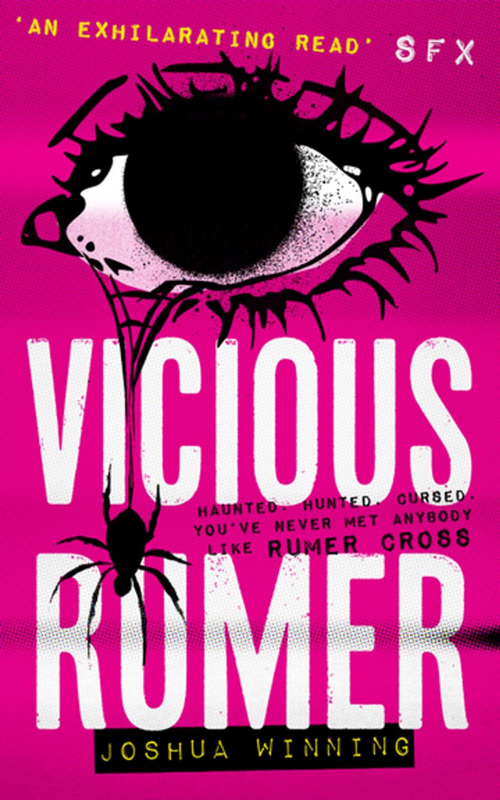 Big bigCover of Vicious Rumer