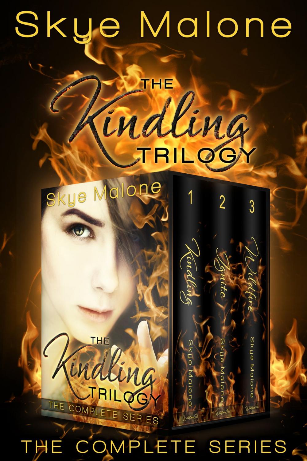 Big bigCover of The Kindling Trilogy: The Complete Series