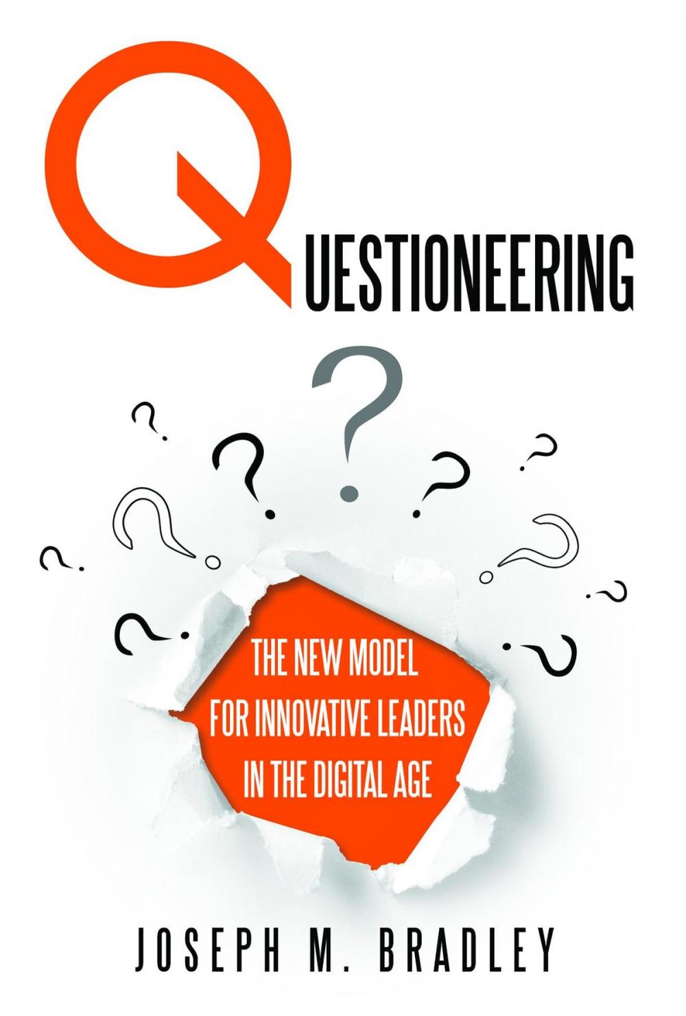 Big bigCover of Questioneering