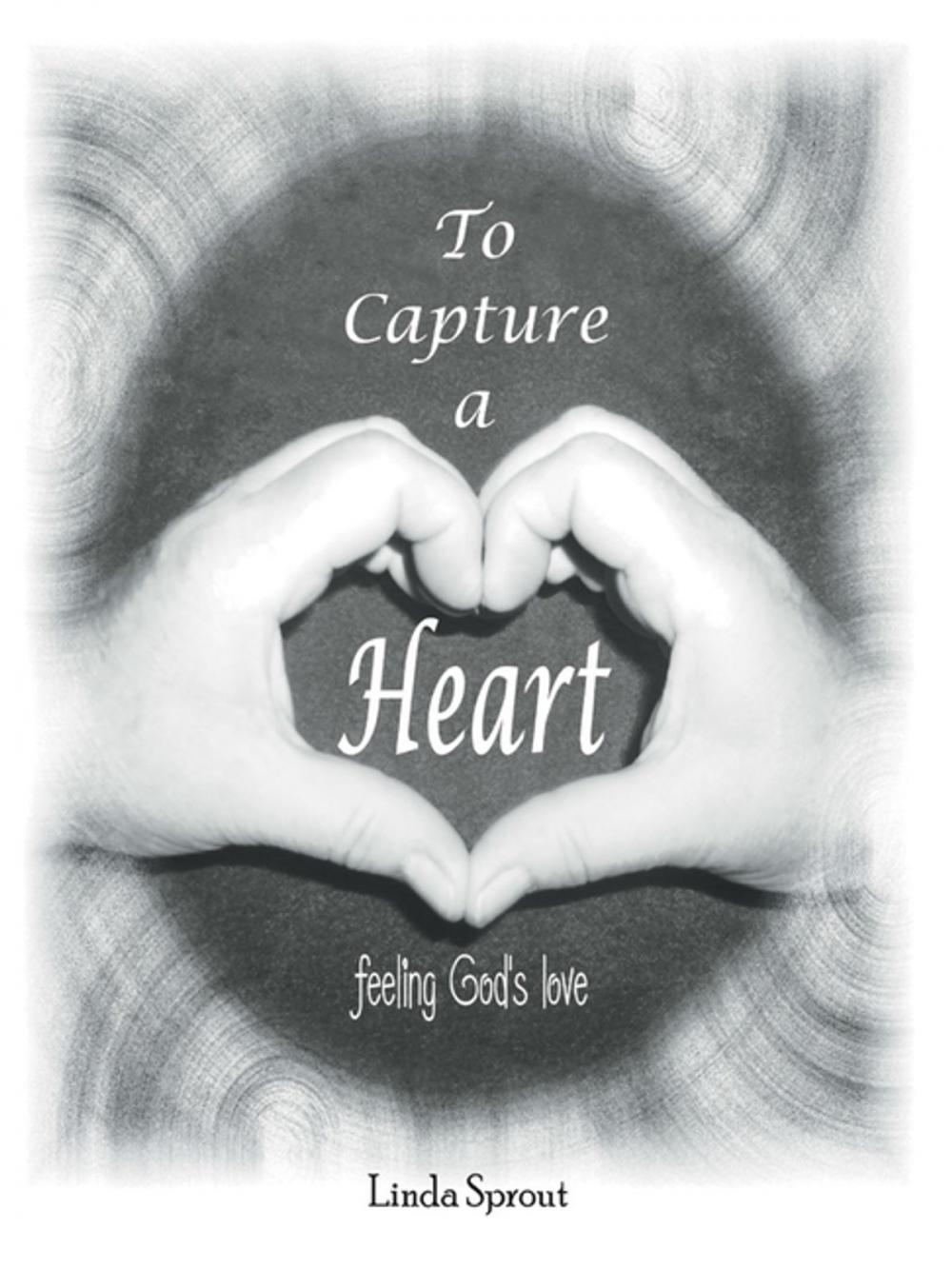 Big bigCover of To Capture a Heart