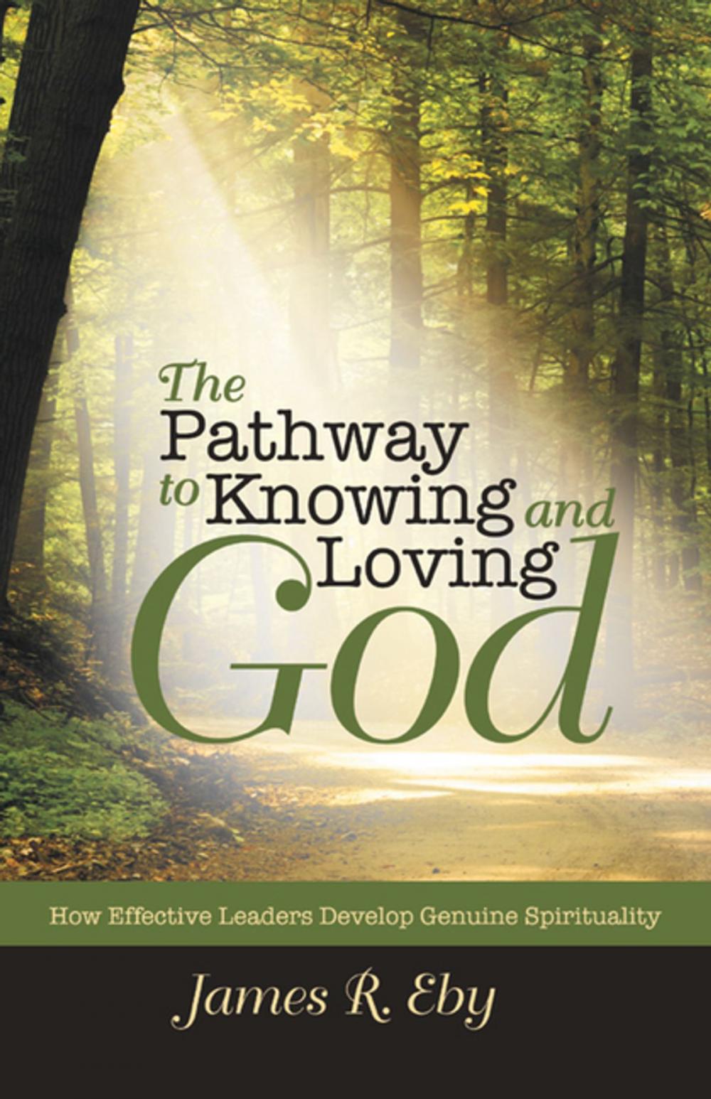 Big bigCover of The Pathway to Knowing and Loving God