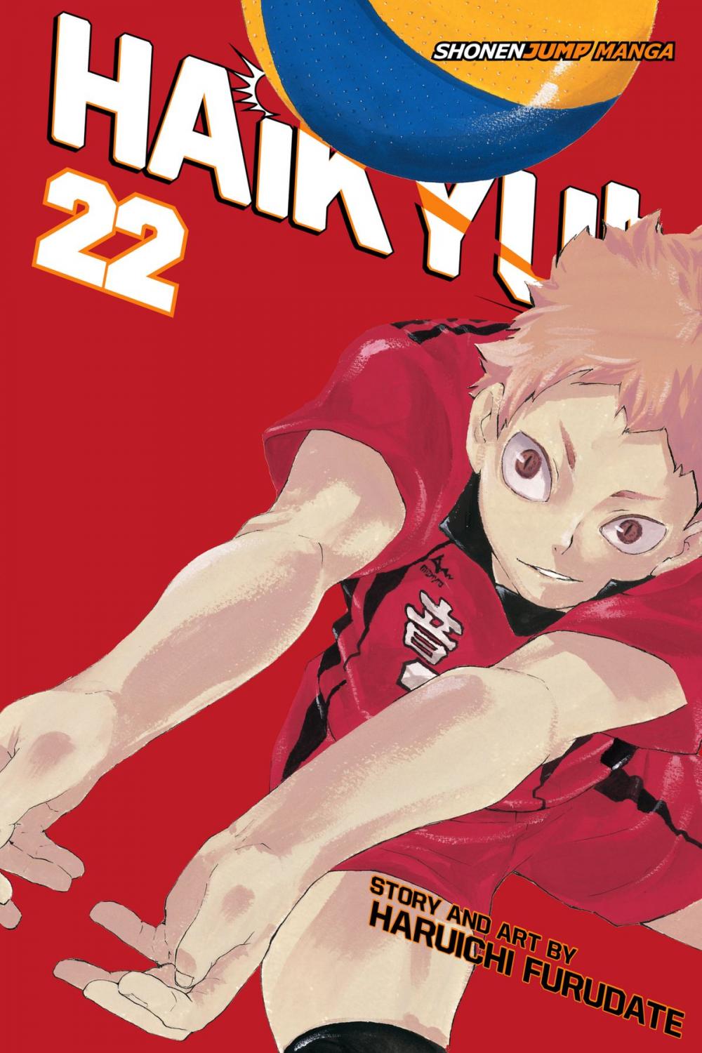 Big bigCover of Haikyu!!, Vol. 22