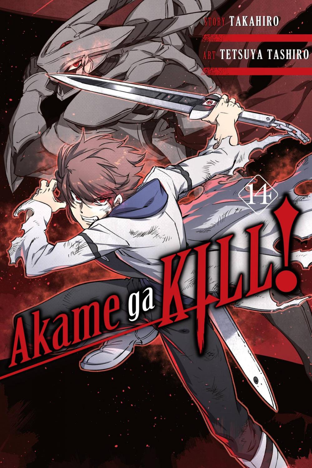 Big bigCover of Akame ga KILL!, Vol. 14