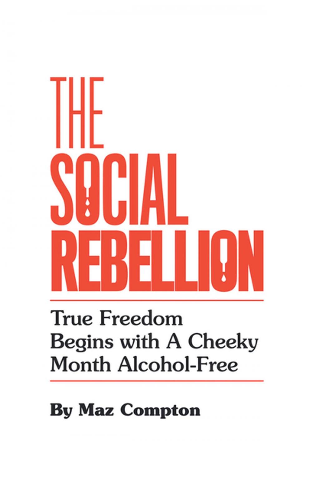 Big bigCover of The Social Rebellion