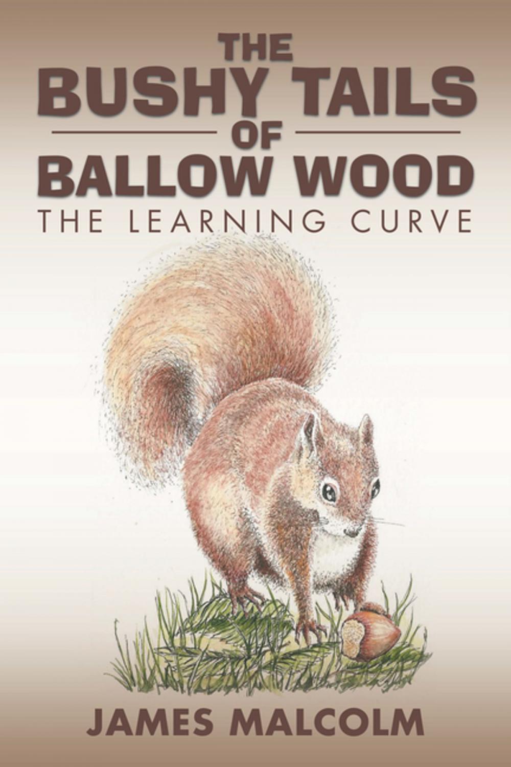 Big bigCover of The Bushy Tails of Ballow Wood