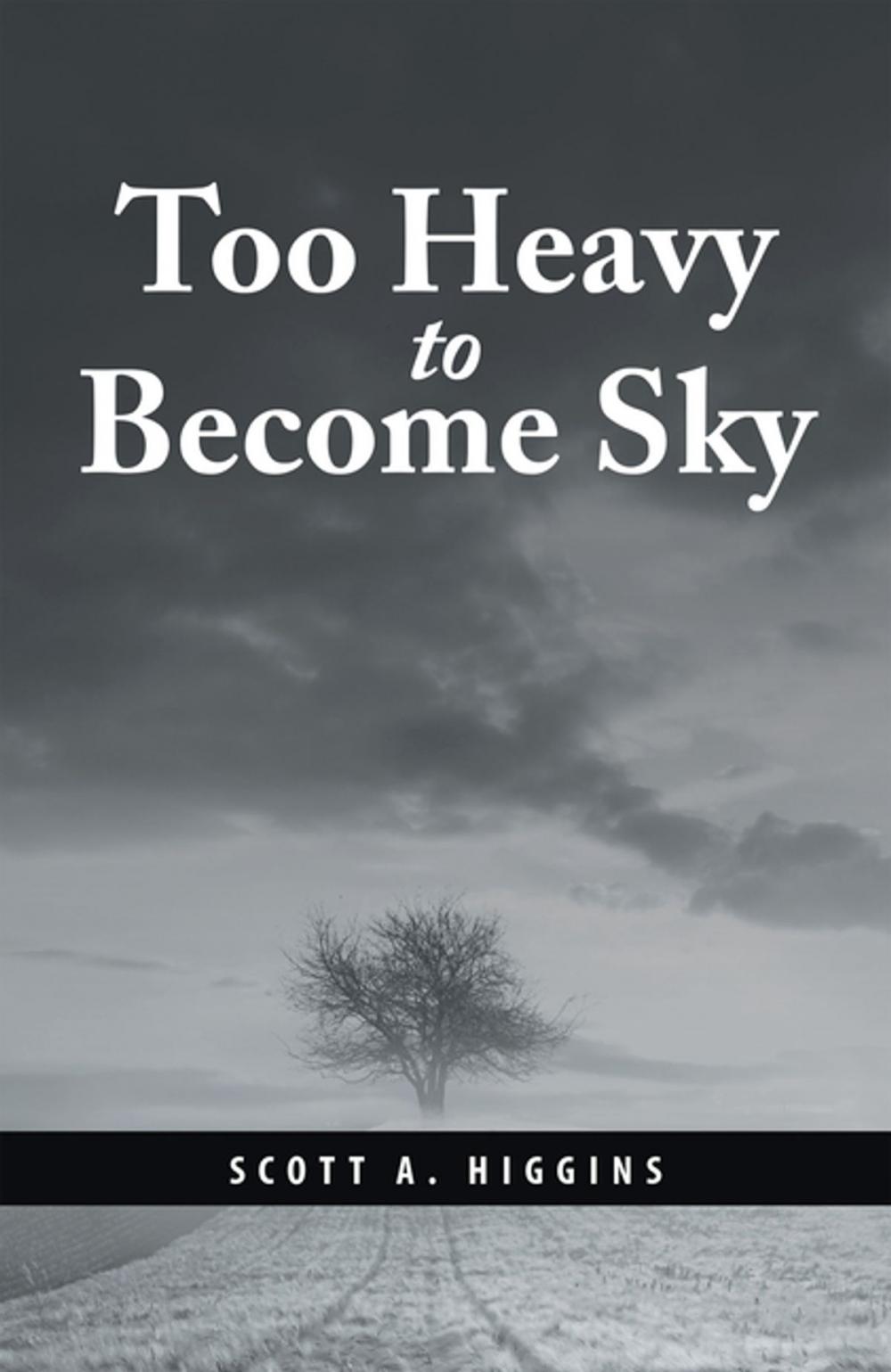 Big bigCover of Too Heavy to Become Sky