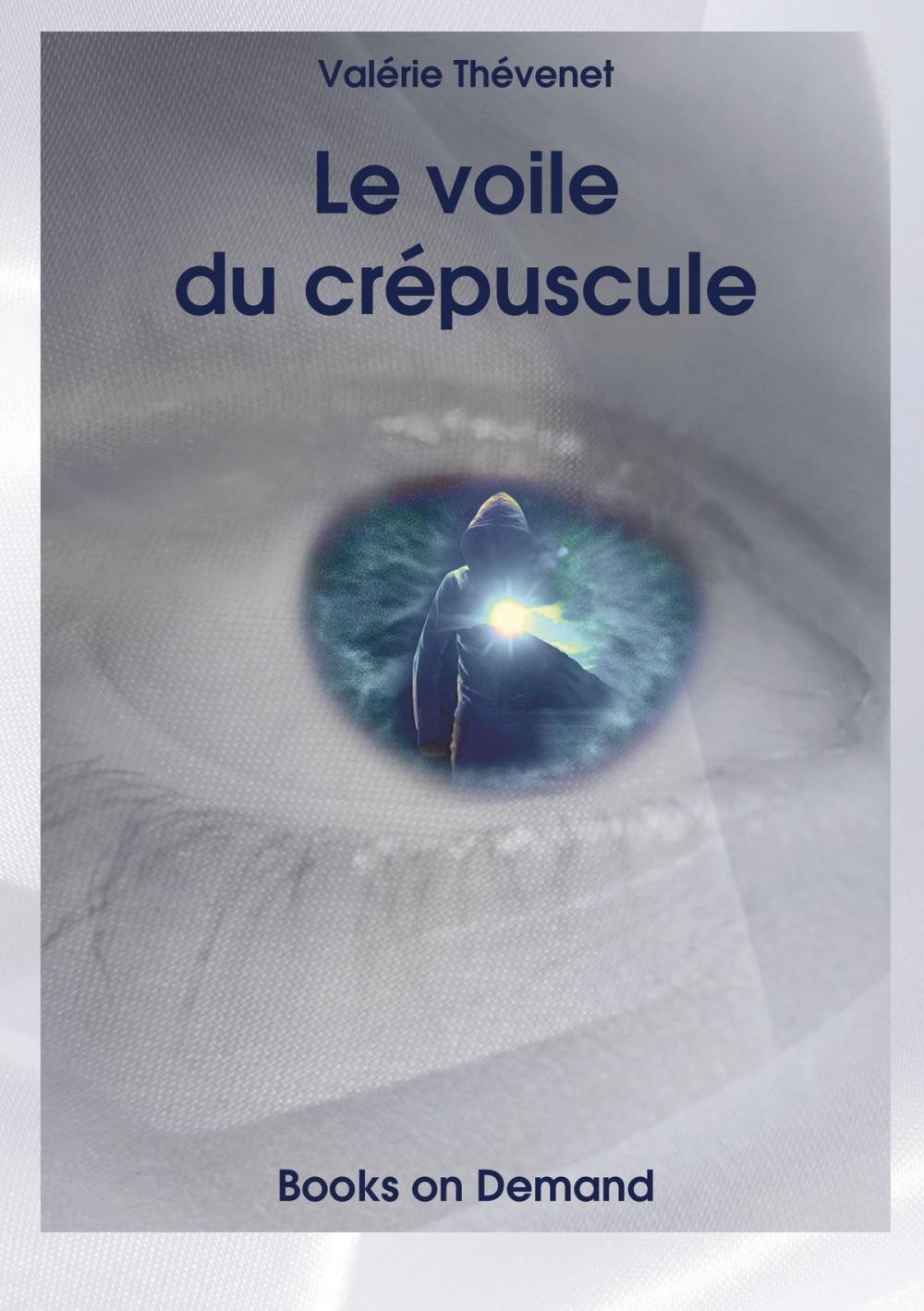 Big bigCover of Le voile du crépuscule