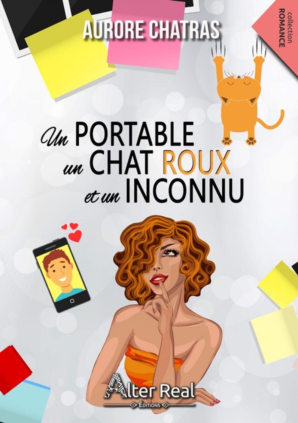 Big bigCover of Un portable, un chat roux et un inconnu