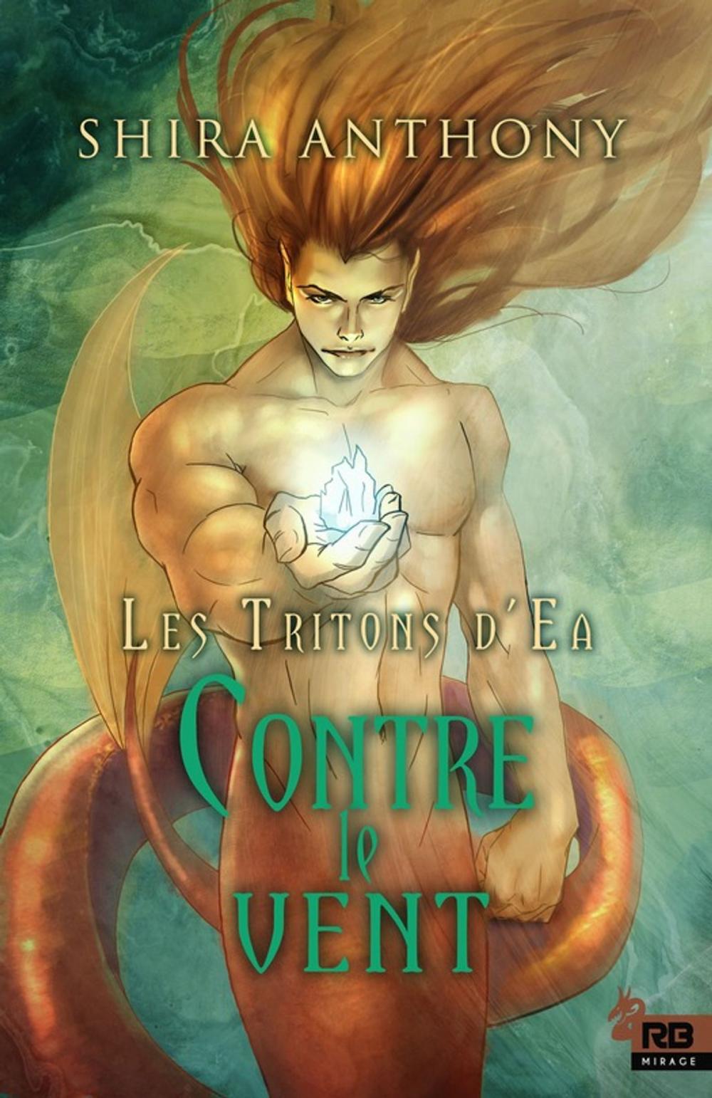 Big bigCover of Contre le vent