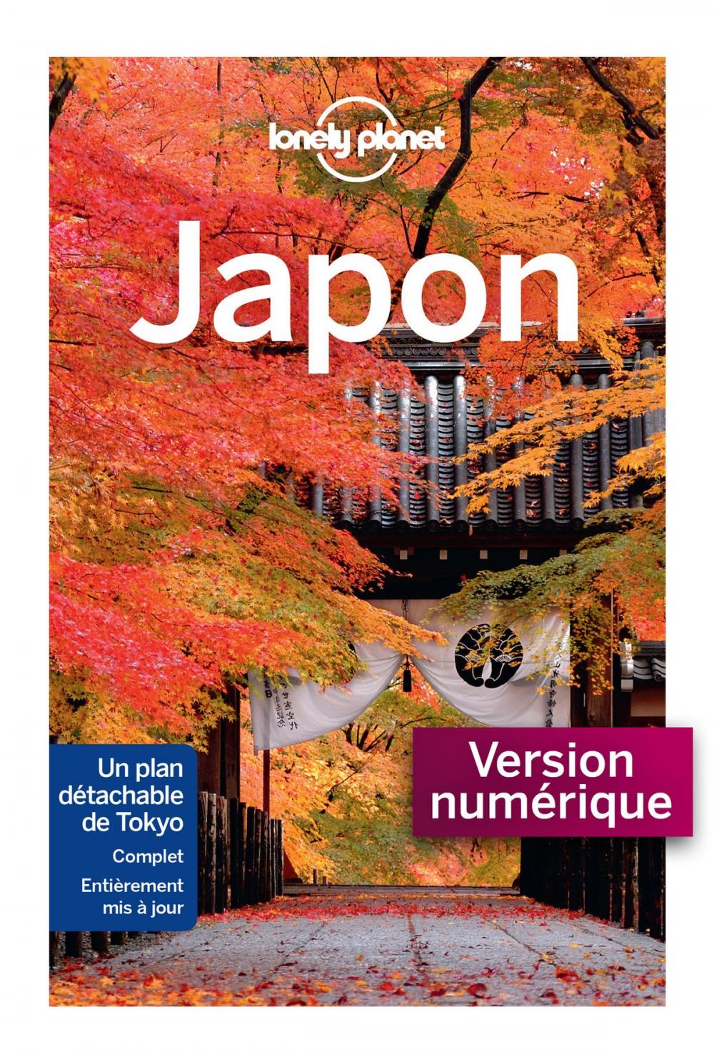 Big bigCover of Japon 6 ed