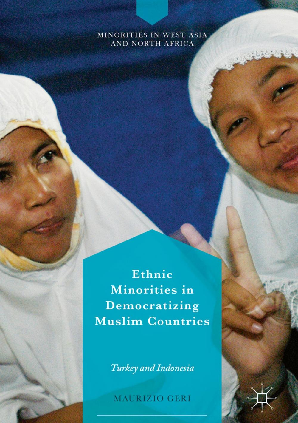 Big bigCover of Ethnic Minorities in Democratizing Muslim Countries