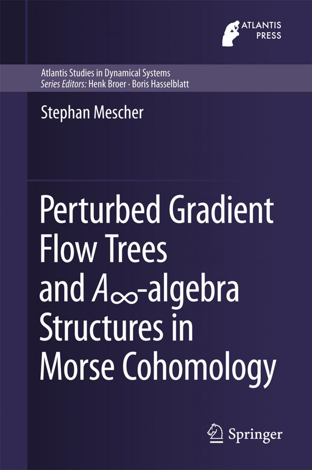 Big bigCover of Perturbed Gradient Flow Trees and A∞-algebra Structures in Morse Cohomology