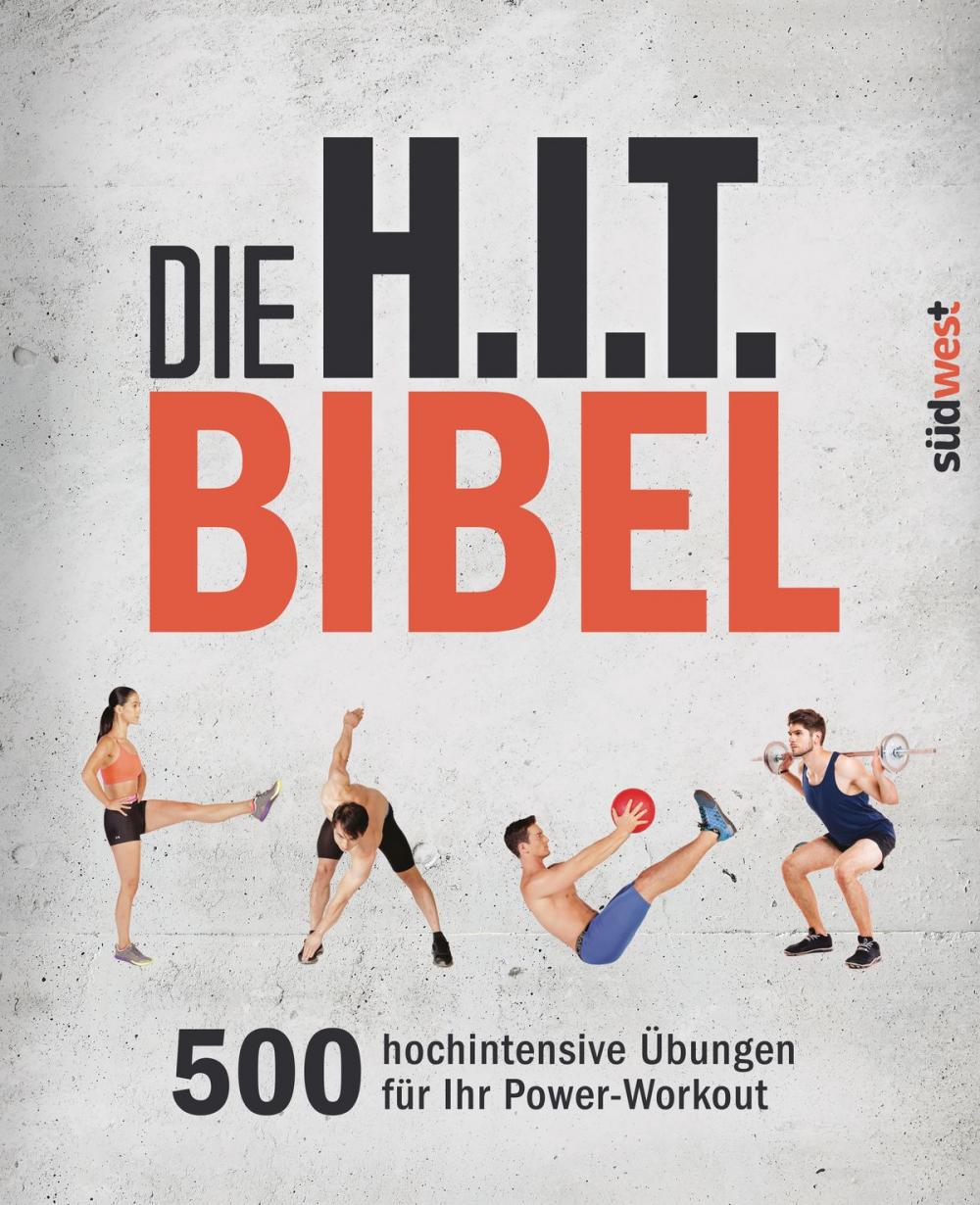 Big bigCover of Die H.I.T.-Bibel