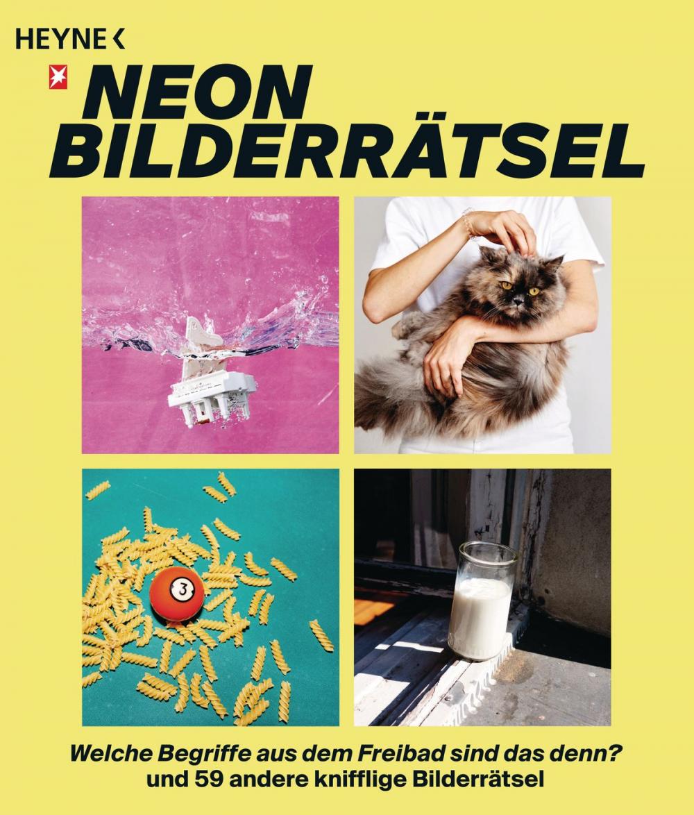 Big bigCover of Das NEON-Bilderrätsel