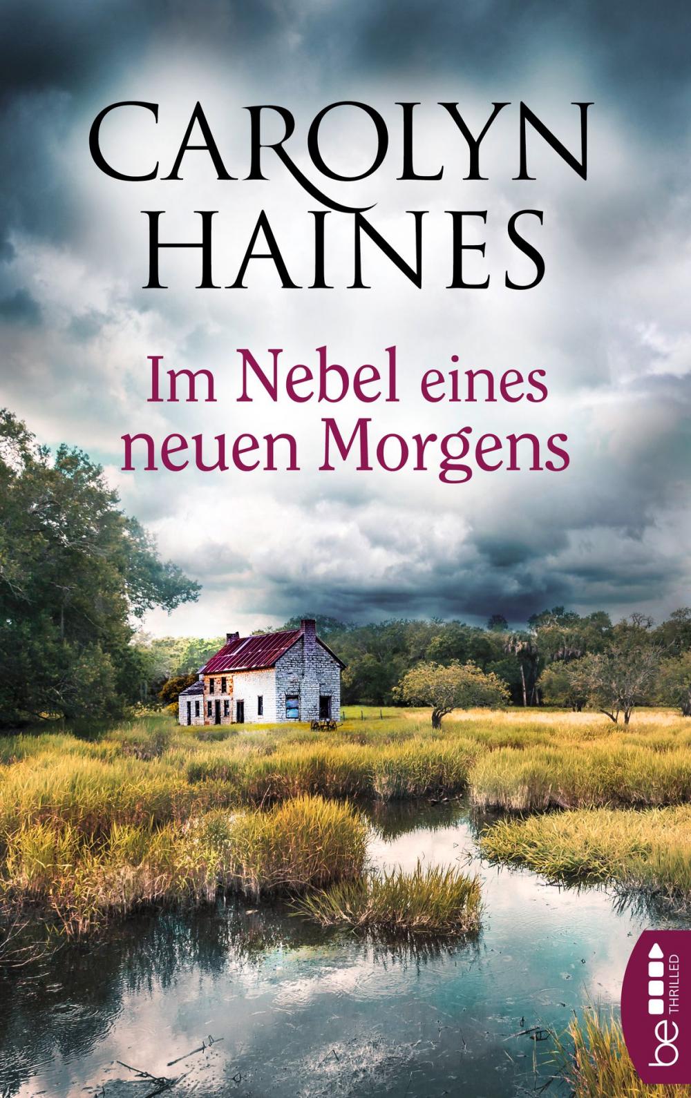 Big bigCover of Im Nebel eines neuen Morgens