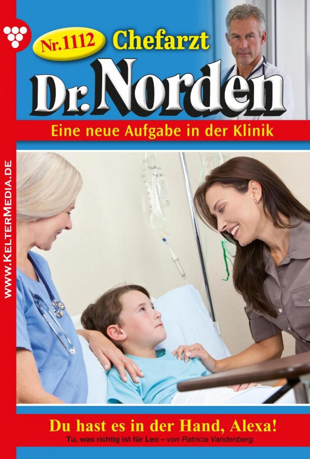 Big bigCover of Chefarzt Dr. Norden 1112 – Arztroman