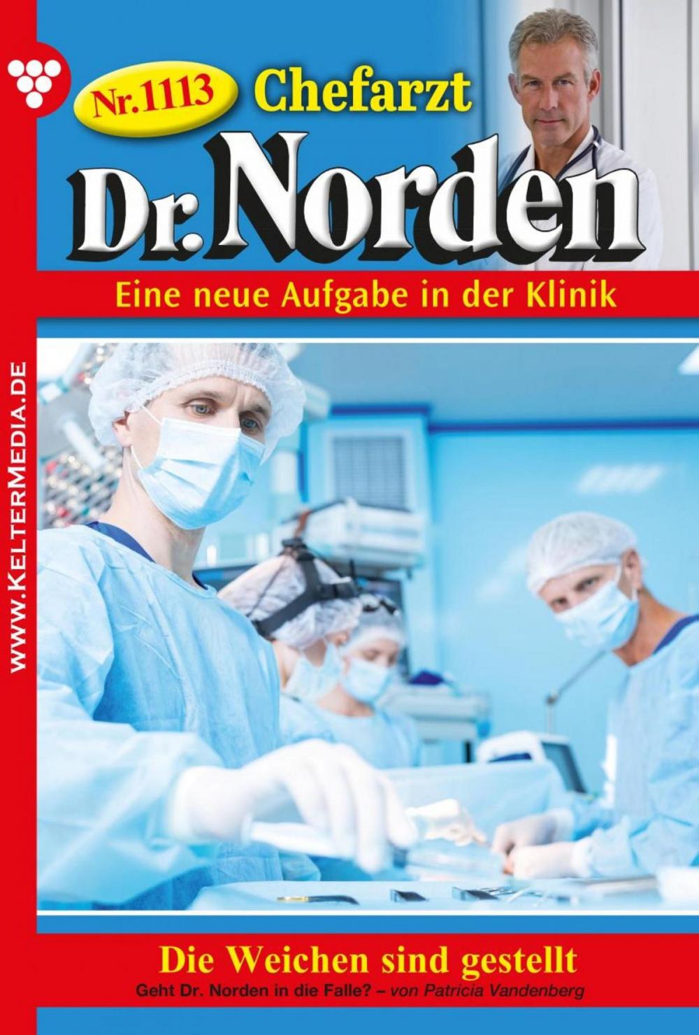 Big bigCover of Chefarzt Dr. Norden 1113 – Arztroman