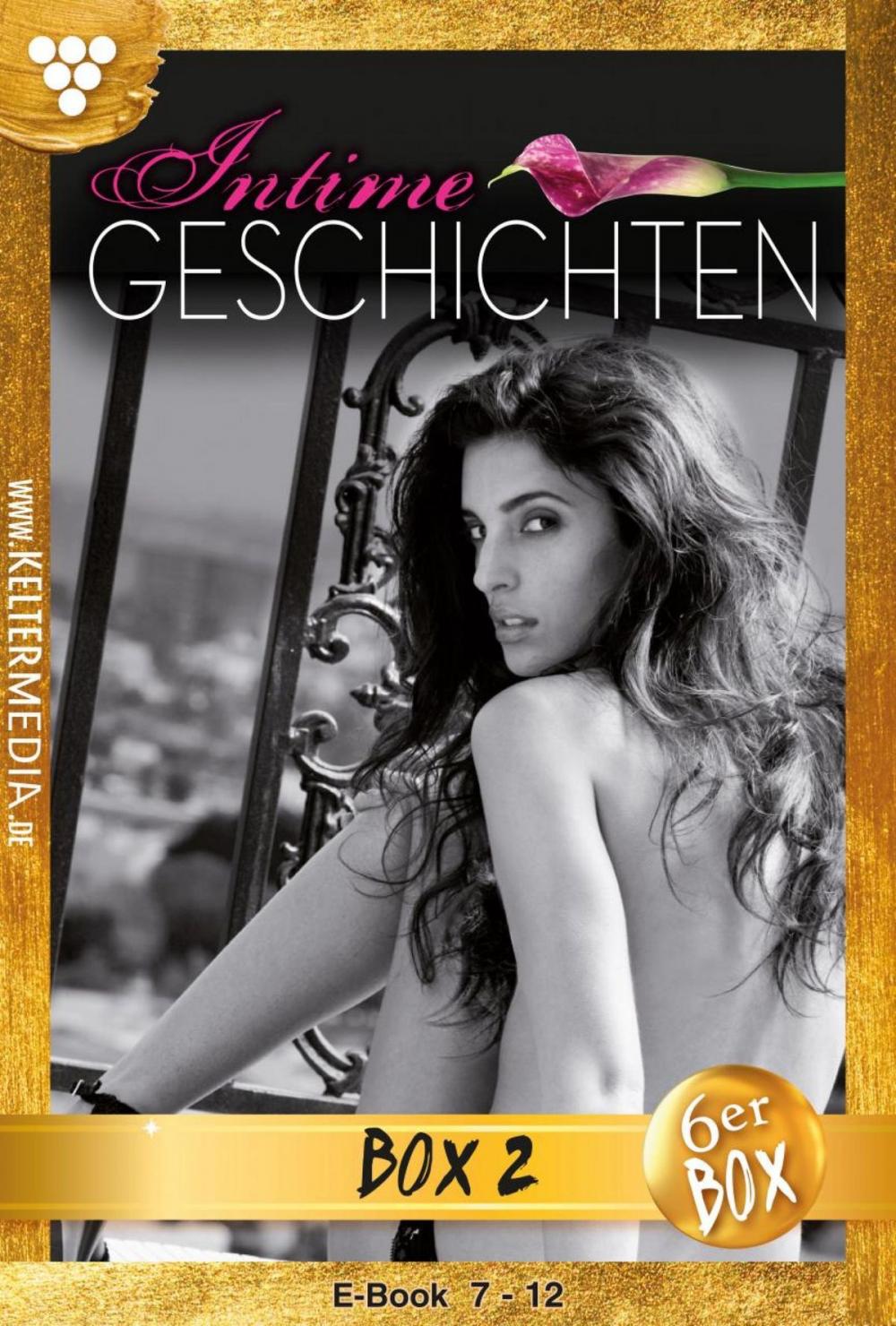 Big bigCover of Intime Geschichten Jubiläumsbox 2 – Erotikroman