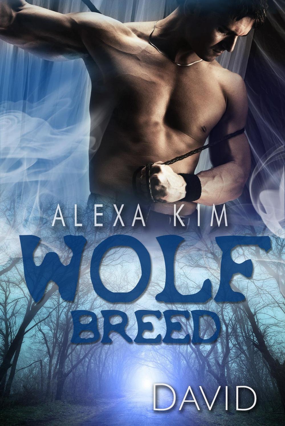 Big bigCover of Wolf Breed - David (Band 7)