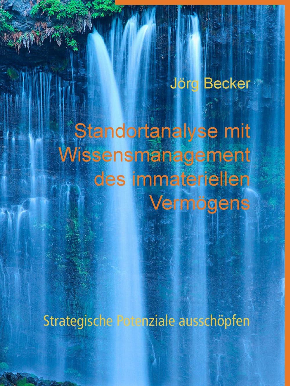 Big bigCover of Standortanalyse mit Wissensmanagement des immateriellen Vermögens