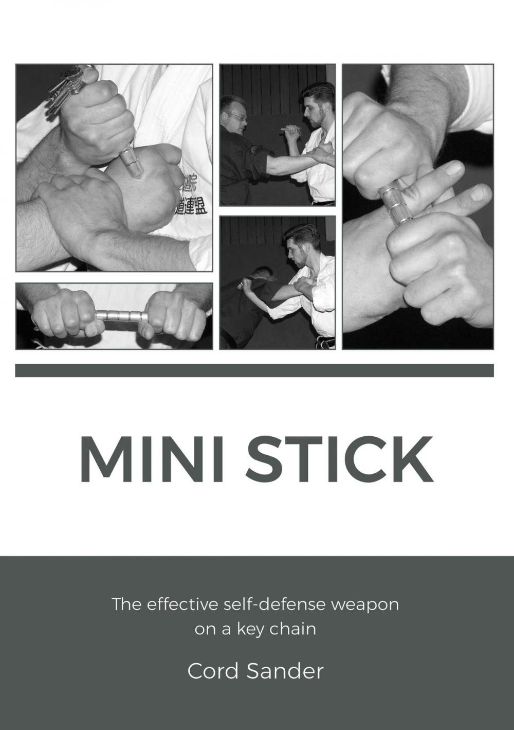 Big bigCover of Mini Stick