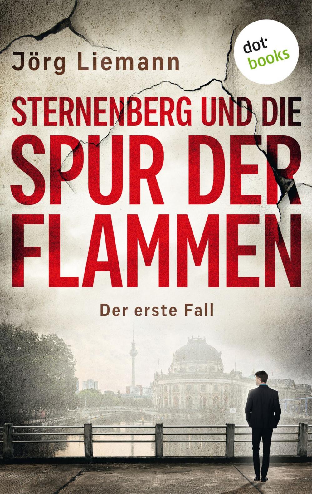 Big bigCover of Sternenberg und die Spur der Flammen - Der erste Fall