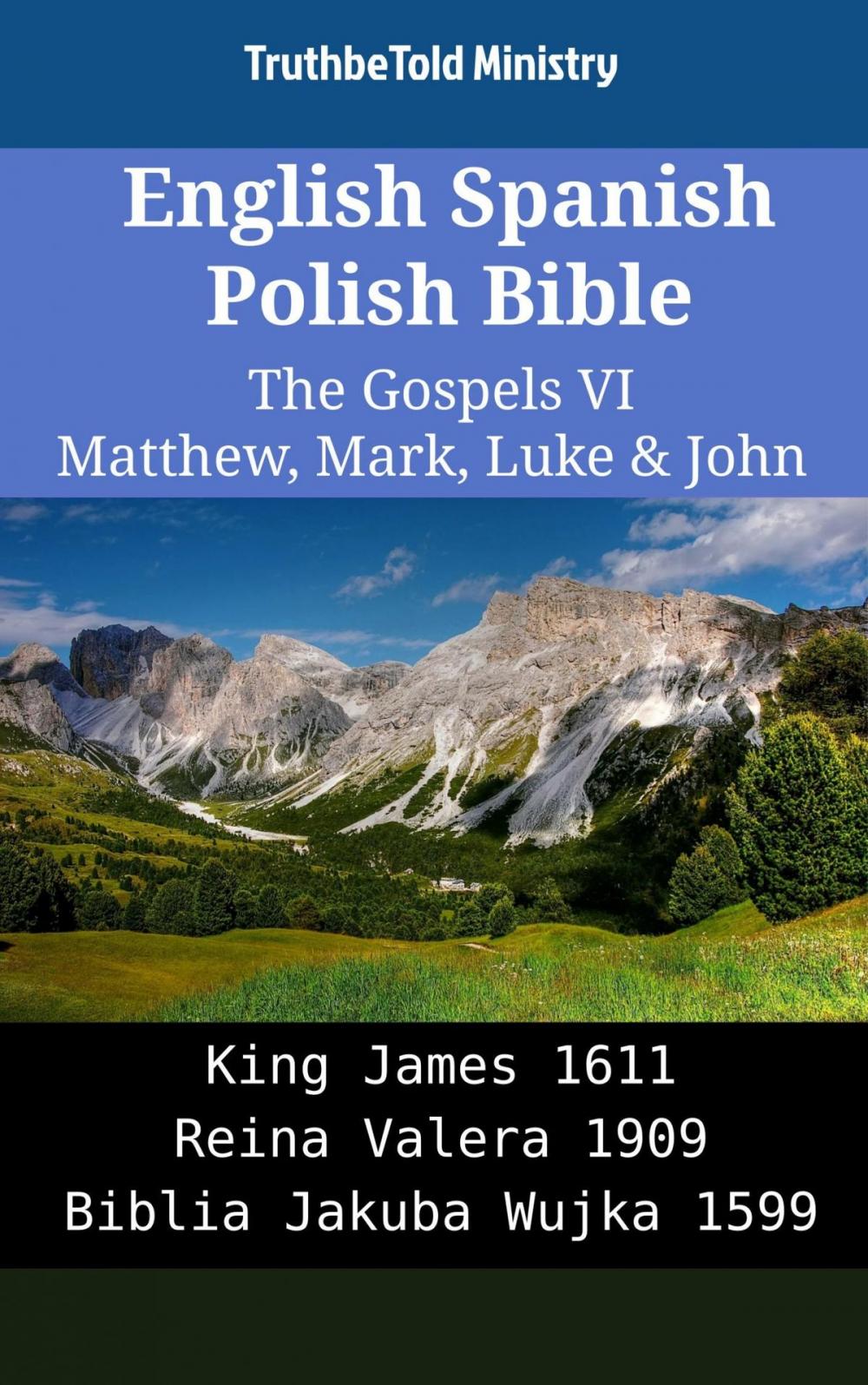 Big bigCover of English Spanish Polish Bible - The Gospels VI - Matthew, Mark, Luke & John