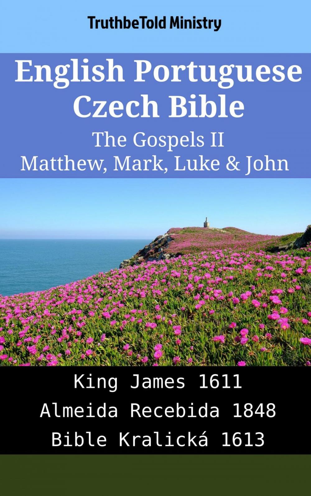 Big bigCover of English Portuguese Czech Bible - The Gospels II - Matthew, Mark, Luke & John