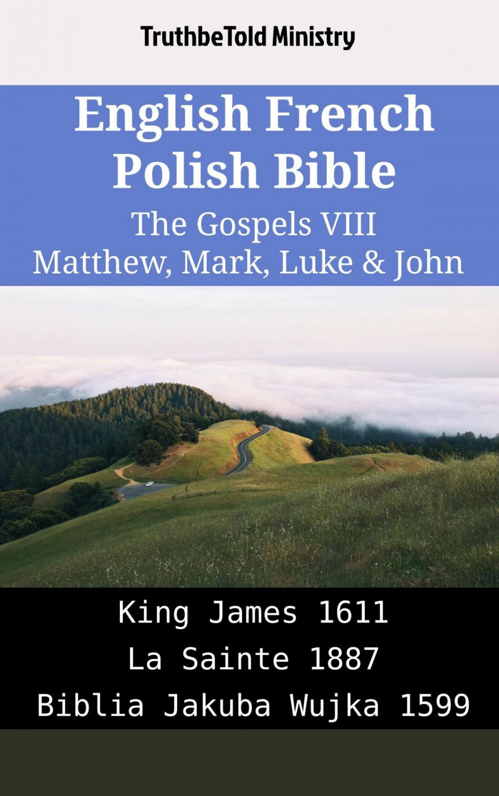 Big bigCover of English French Polish Bible - The Gospels VIII - Matthew, Mark, Luke & John