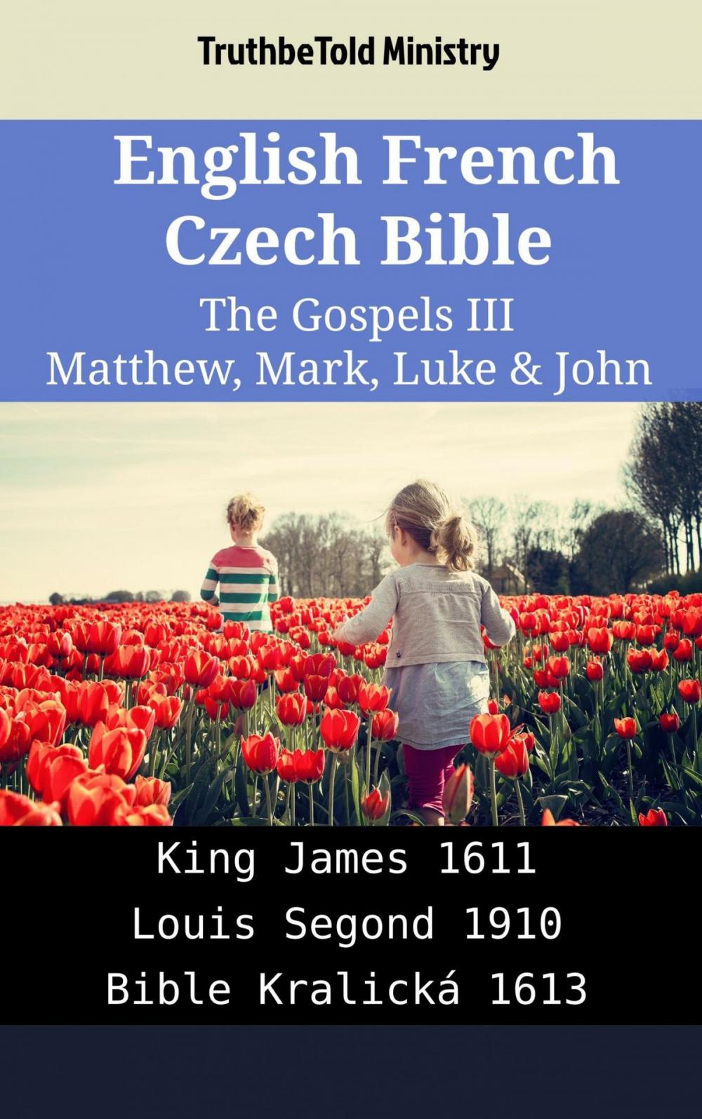 Big bigCover of English French Czech Bible - The Gospels III - Matthew, Mark, Luke & John