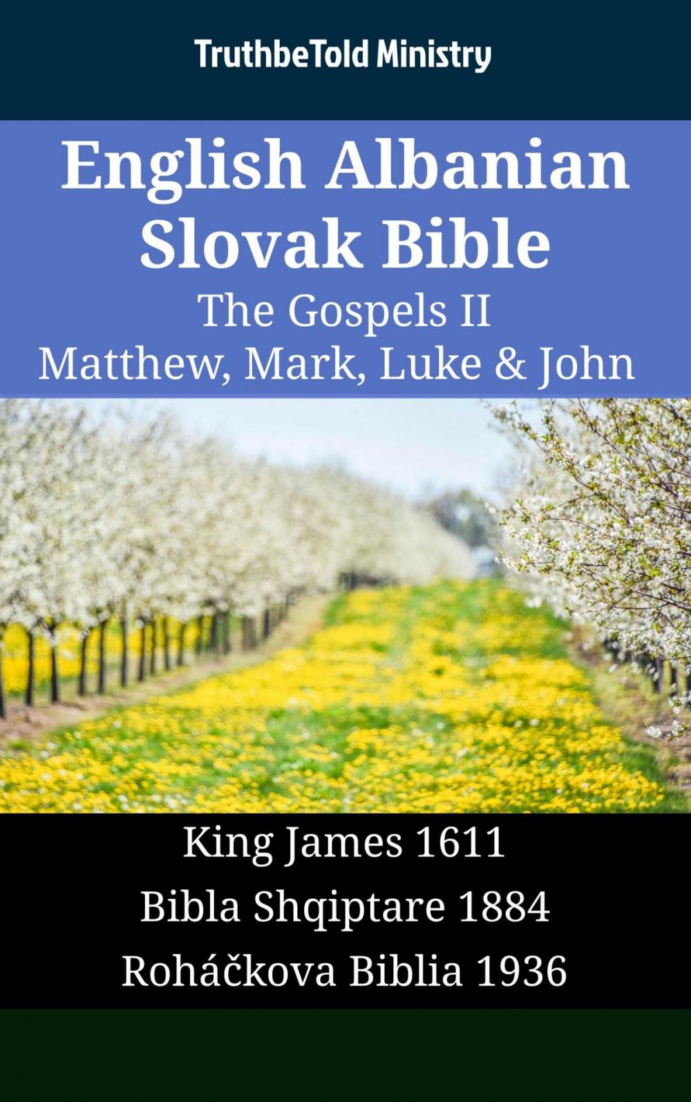 Big bigCover of English Albanian Slovak Bible - The Gospels II - Matthew, Mark, Luke & John