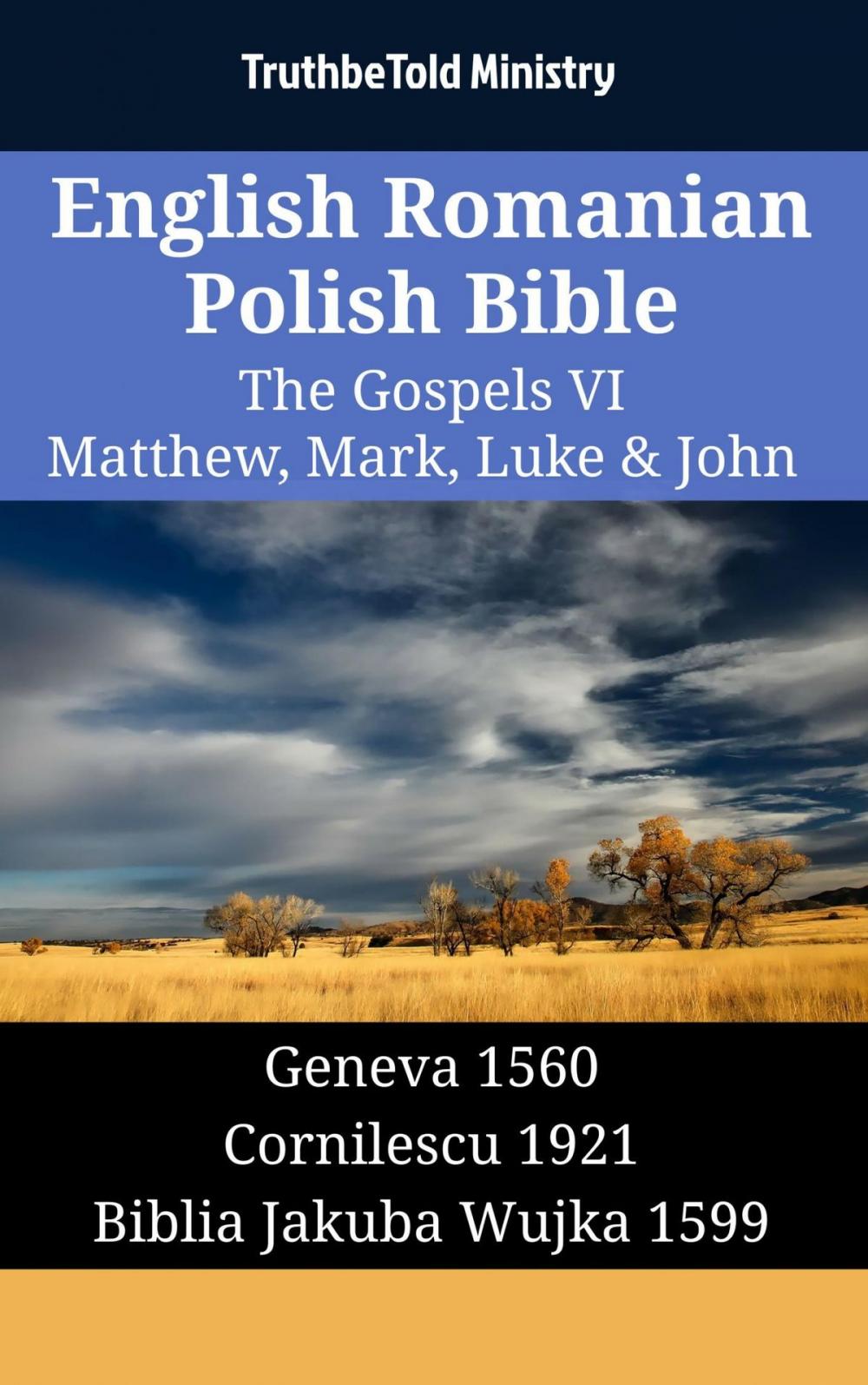 Big bigCover of English Romanian Polish Bible - The Gospels VI - Matthew, Mark, Luke & John