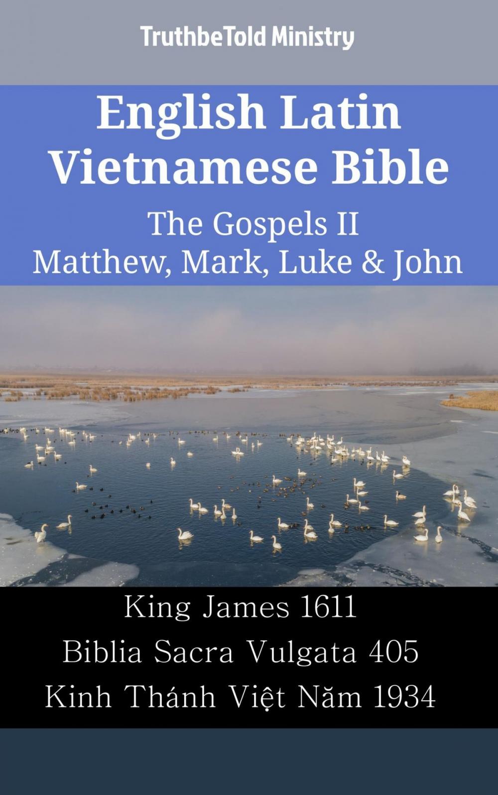 Big bigCover of English Latin Vietnamese Bible - The Gospels II - Matthew, Mark, Luke & John