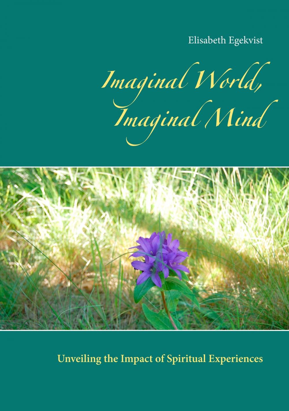 Big bigCover of Imaginal World, Imaginal Mind